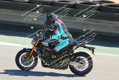 media/Oct-04-2025-Champ School (Sat) [[36446ccff8]]/1120am (Turn 5 and 6)/